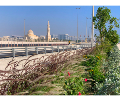 Diyar Al Muharraq Announces the Completion of the Landscaping Project at the City’s Entrance